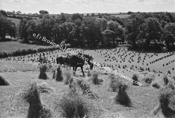 HARVEST SCENES